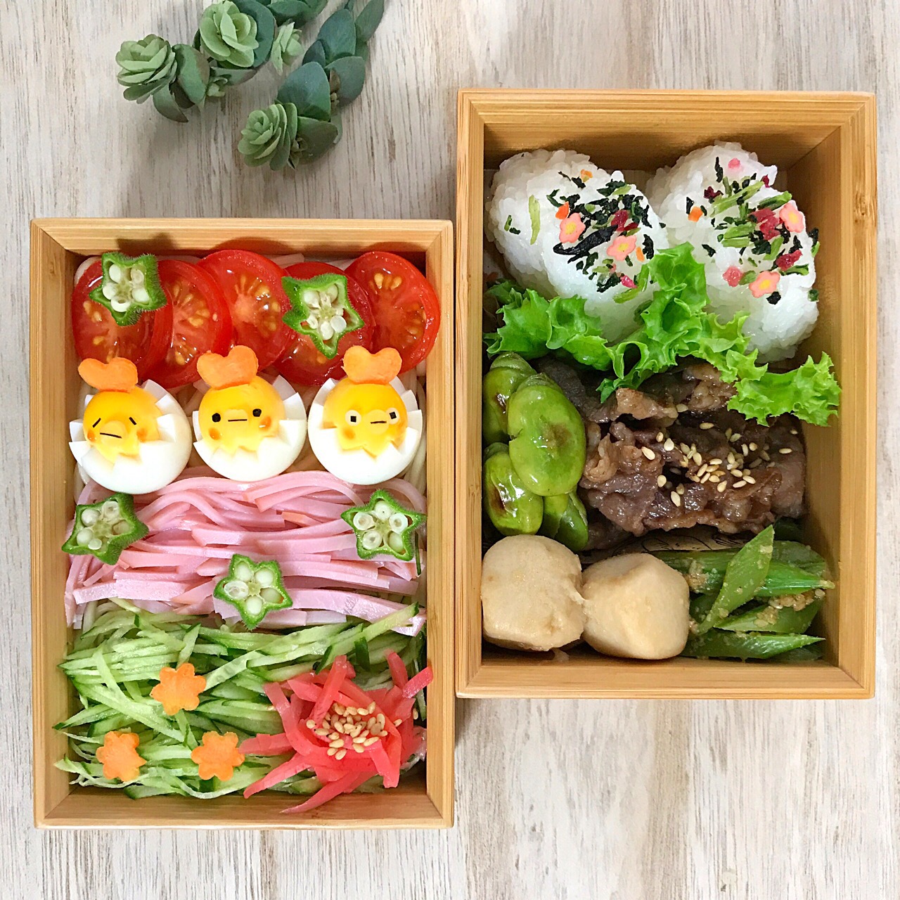 冷やし中華弁当