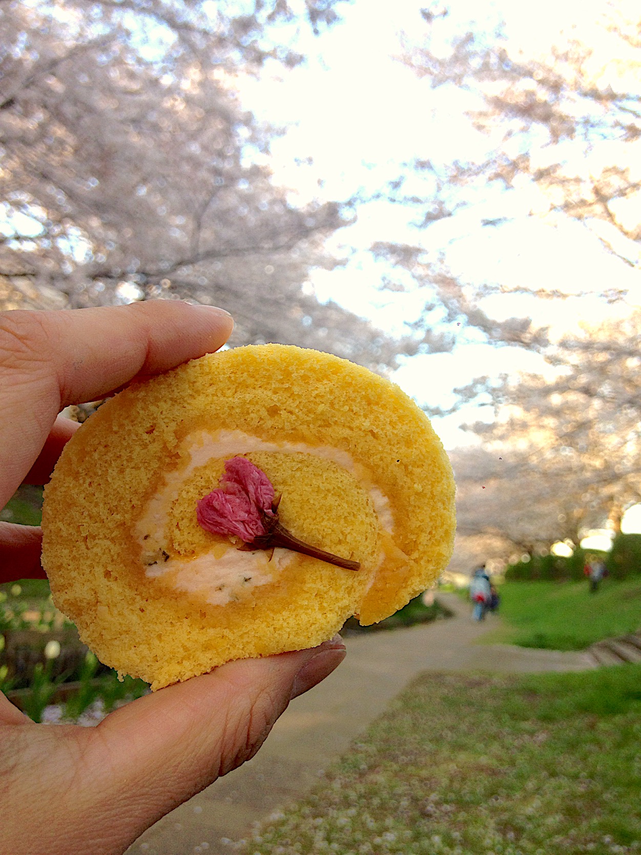 桜あんのロールケーキ