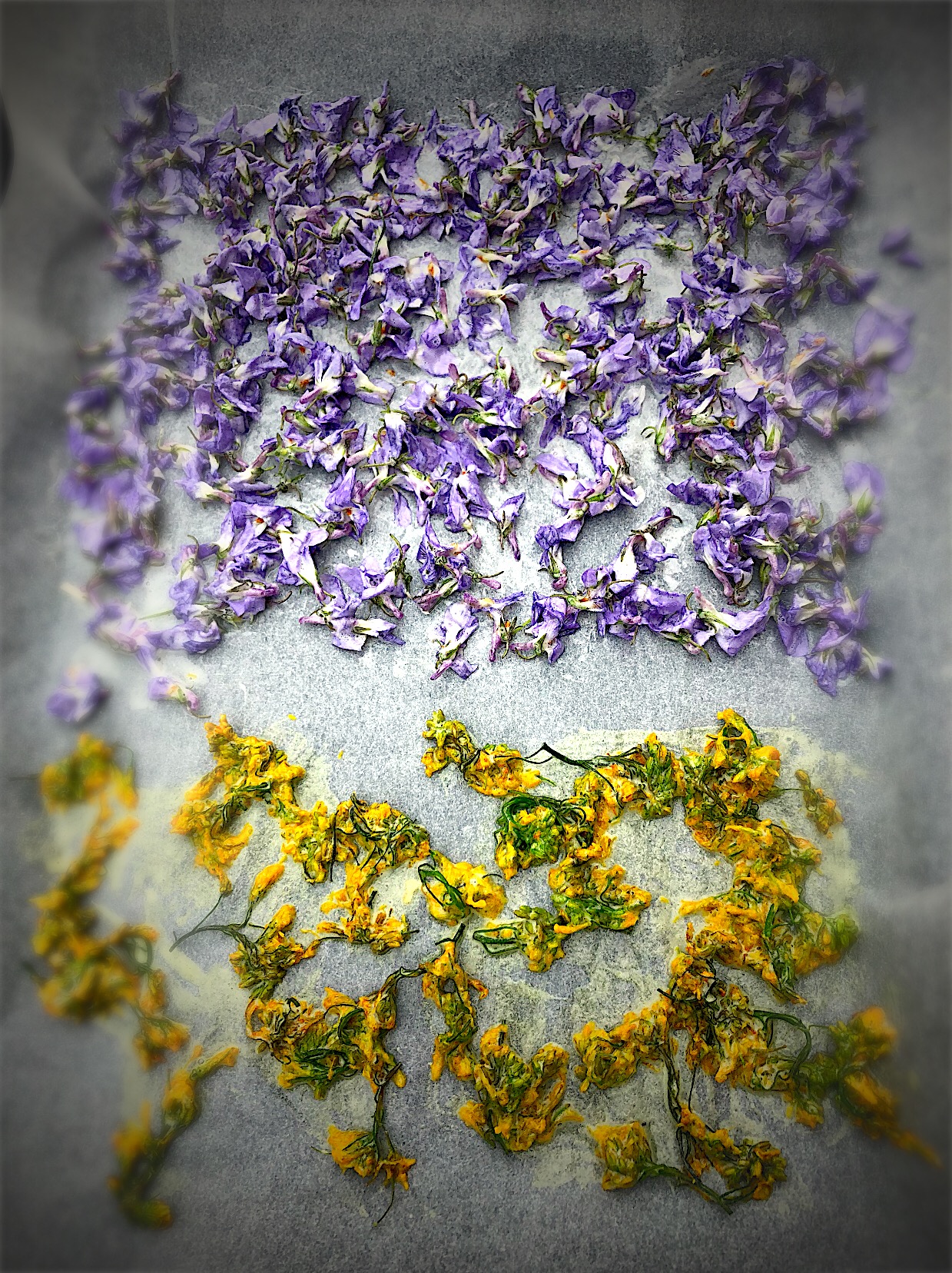すみれの花の砂糖漬け 菫 スミレ 菜の花 お花見パーティーグランプリ18 ヤマサ醤油株式会社