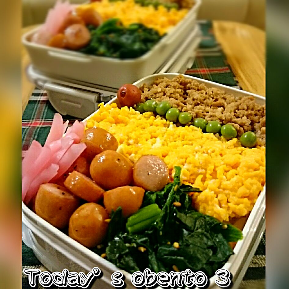 #我が家の働く男弁当
水曜日‥いろいろ??
そぼろのっけ盛弁当‥