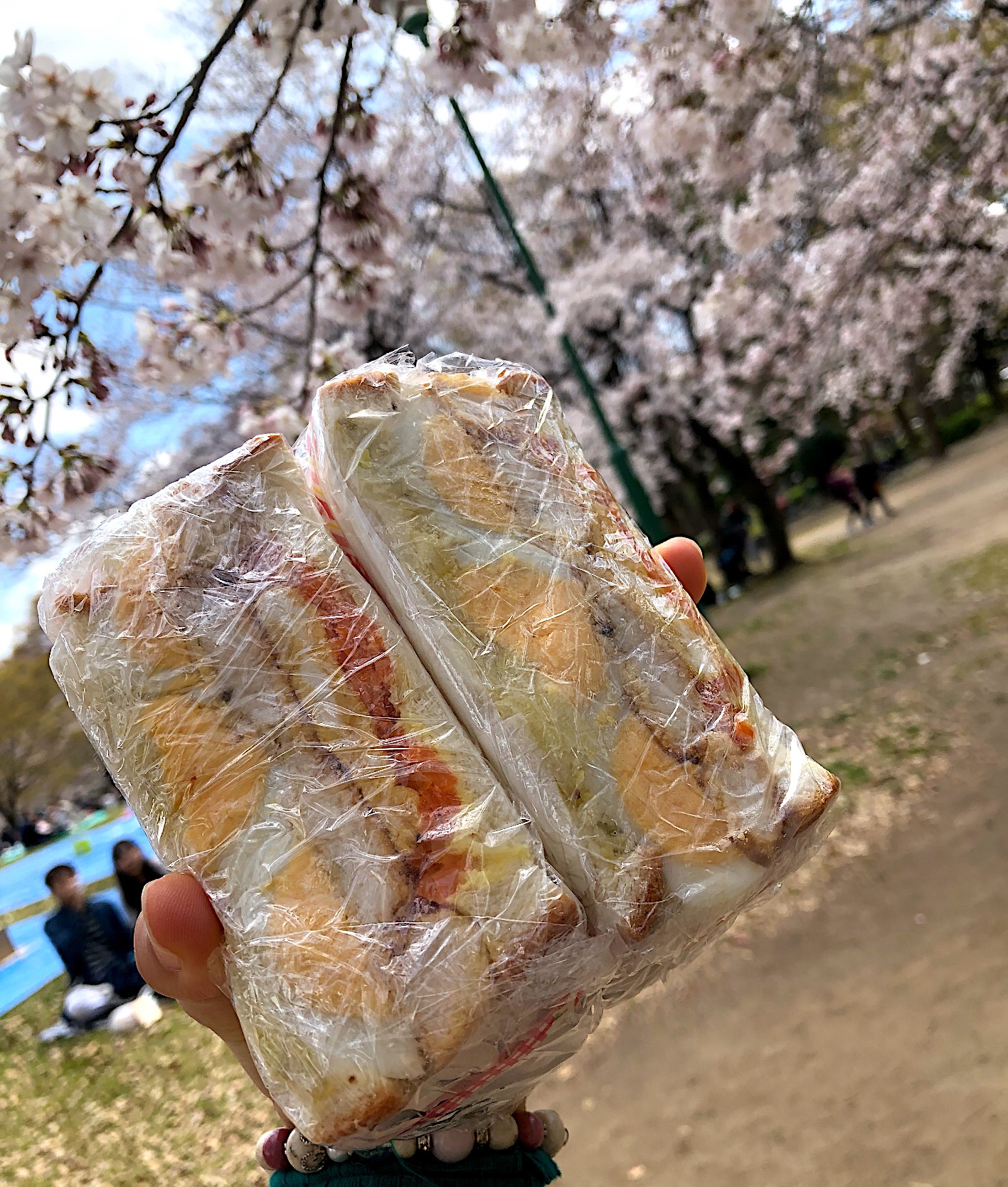 桜の下でサンドウィッチ??