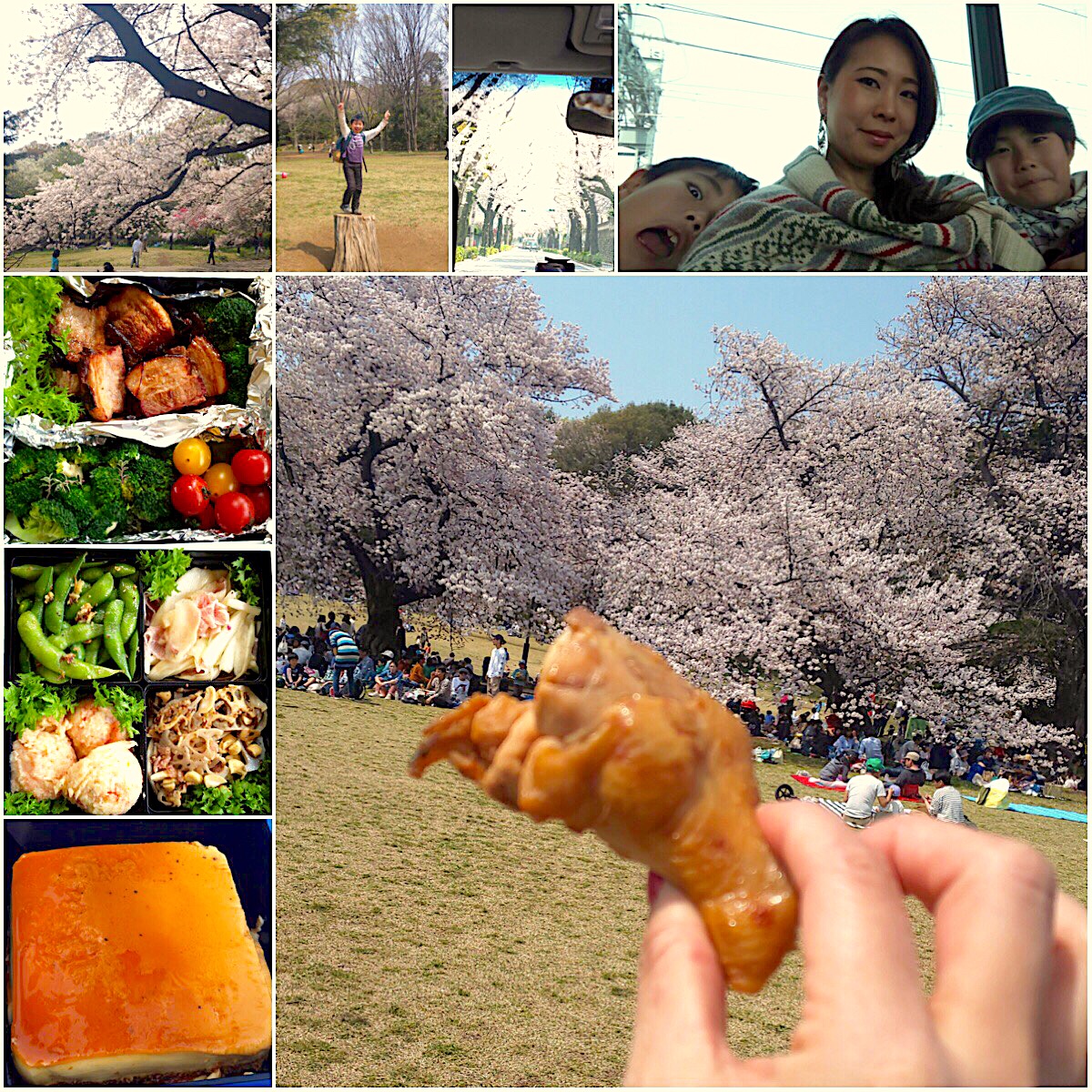 Cherry‐blossom viewing picnic 2019?