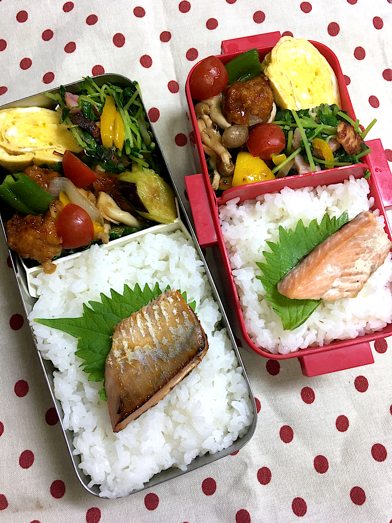 10月17日 秋晴れ弁当?