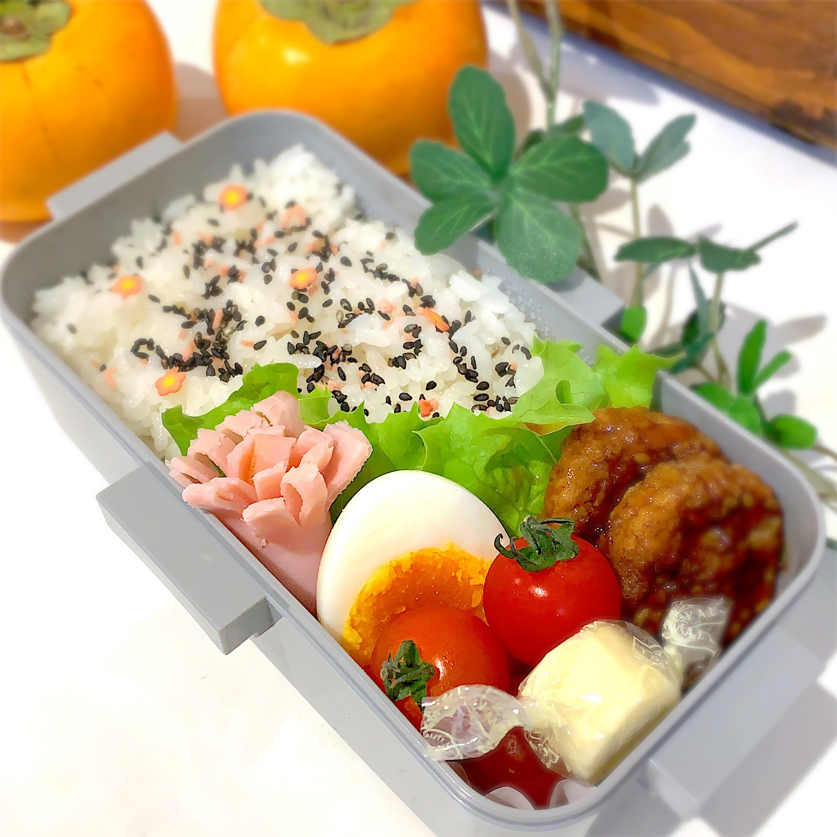 今日のお弁当?