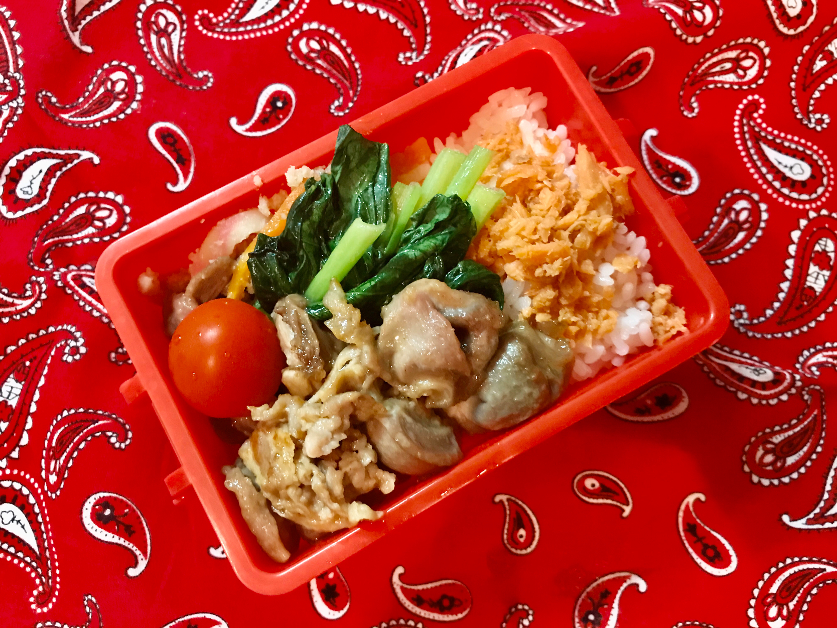 20191024?今日の自分弁当?