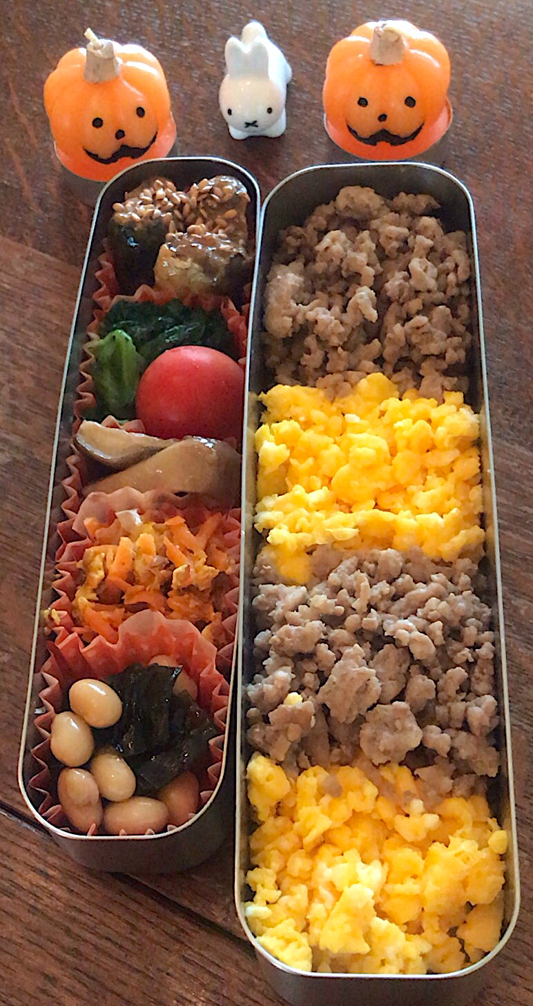 ランチ #お弁当記録  #サーモス  #お弁当  #そぼろ丼