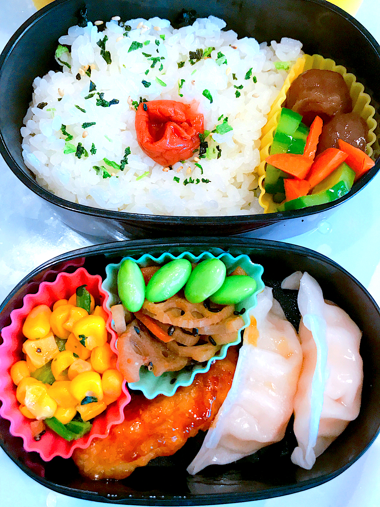 お弁当　11.5