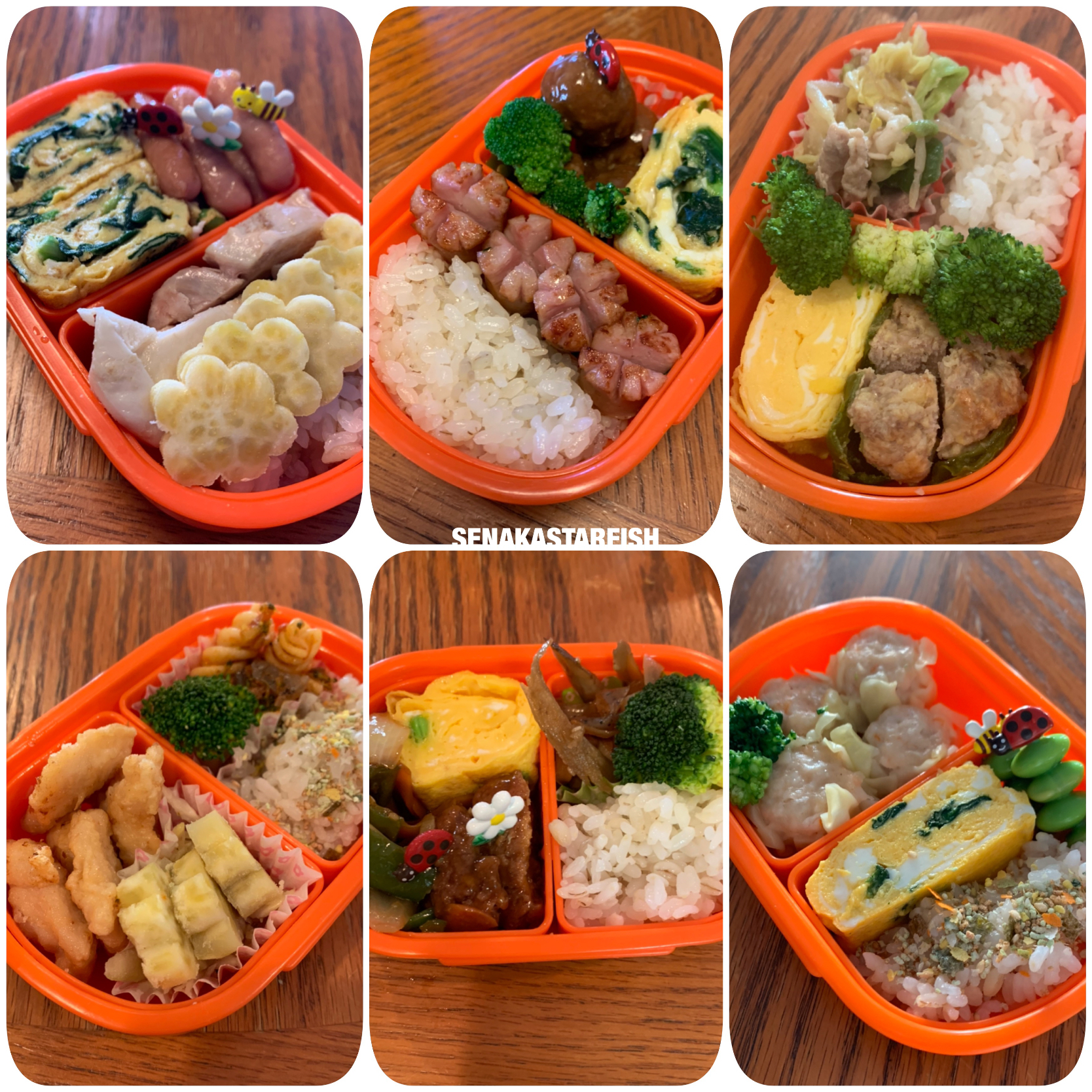 幼稚園のお弁当