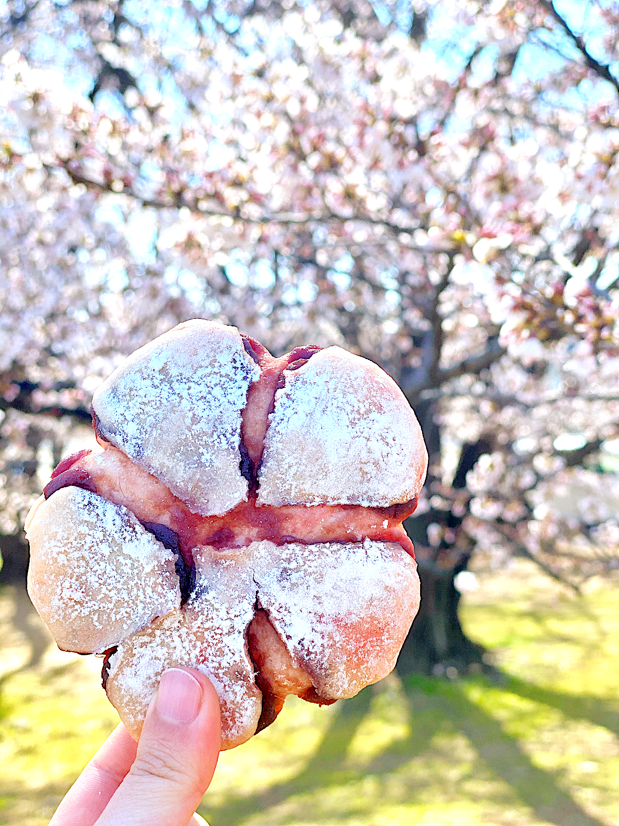 ♯905 桜あんぱん♪