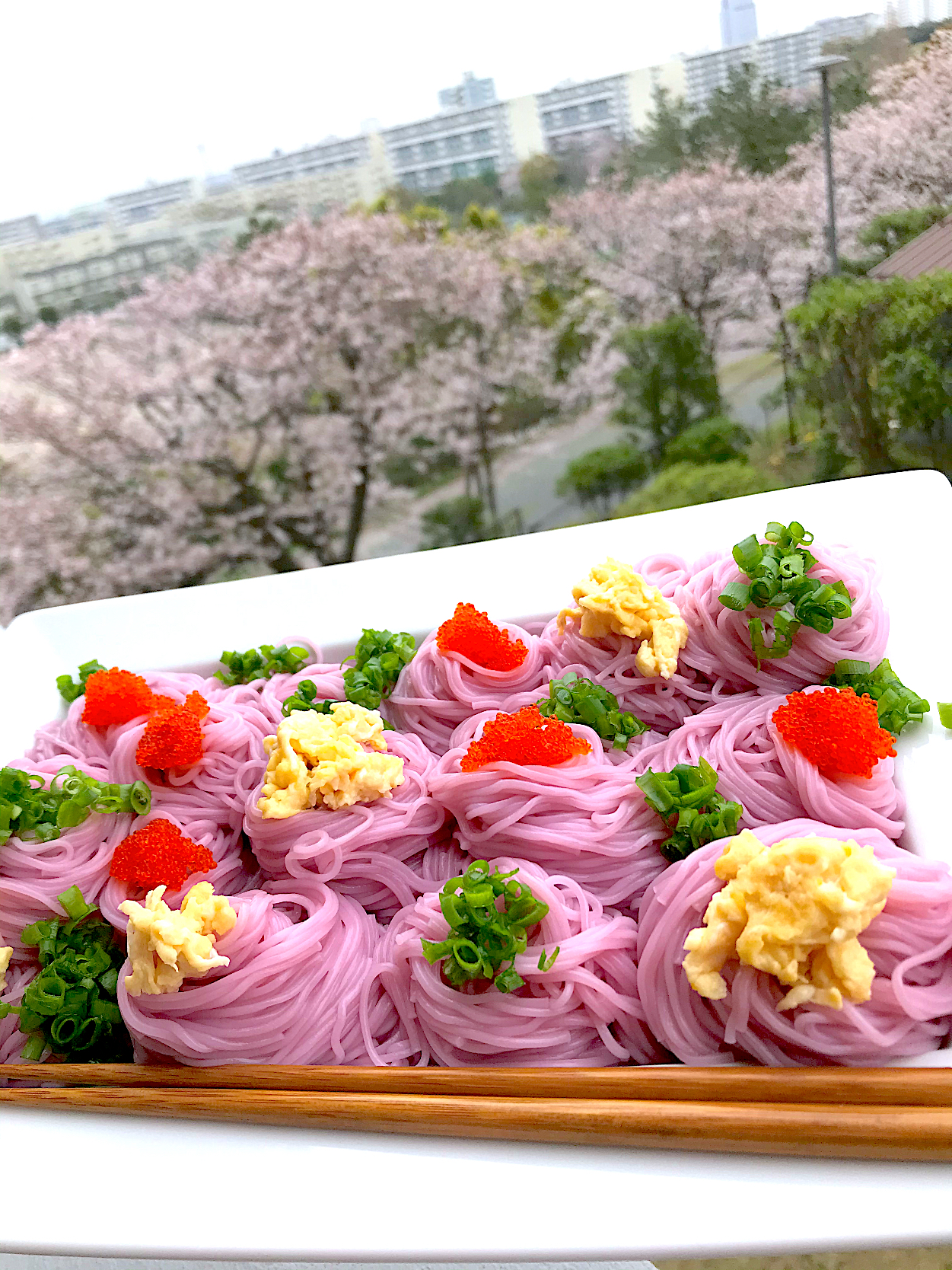 満開の桜と桜色手延べ素麺実は紫蘇
