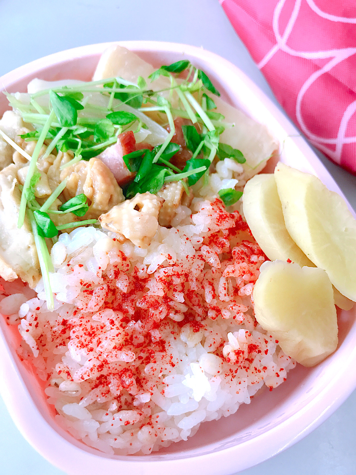 春野菜と鳥かわてんこ盛りのポトフ弁当∠(｀・ω・)／