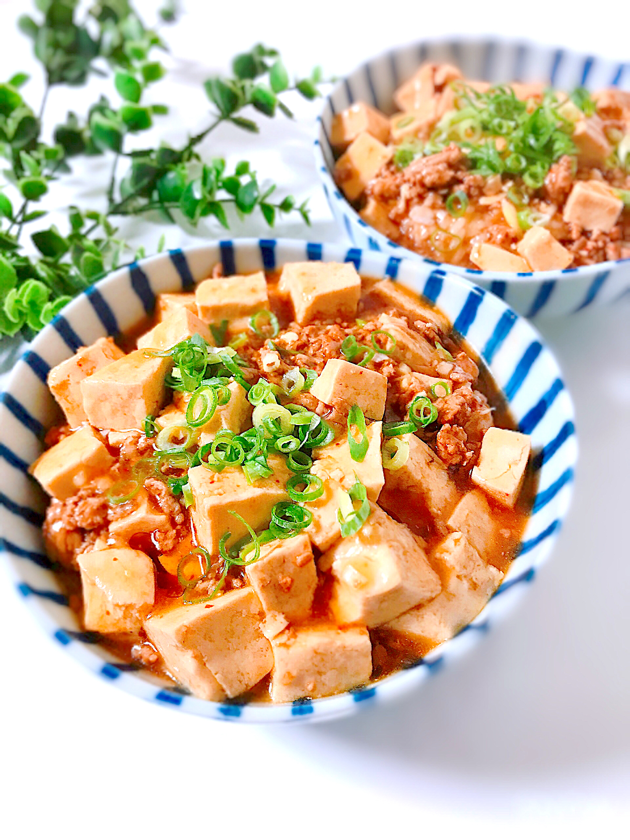 麻婆丼（息子作）