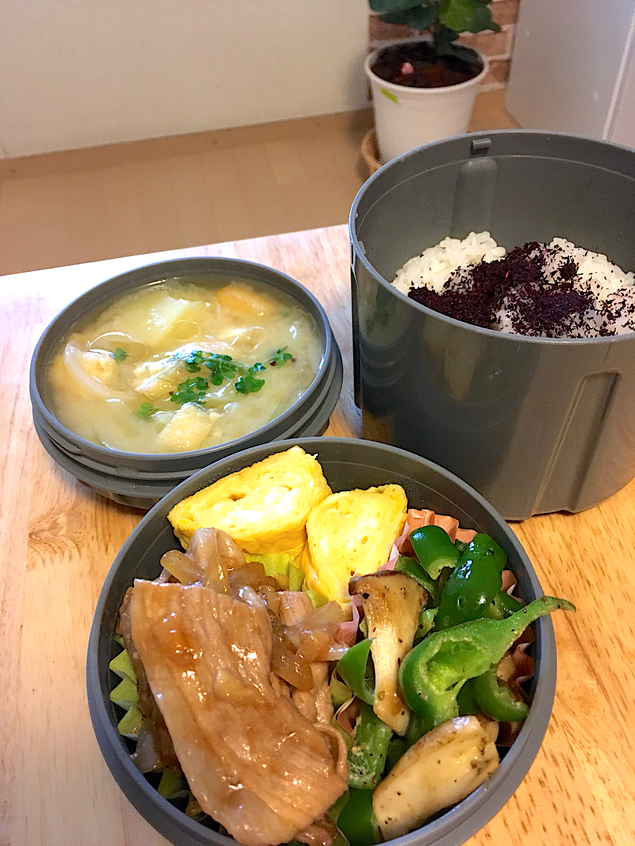 今日の旦那さんお弁当〜生姜焼き、卵焼き、ピーマンとエリンギのマヨソテー、ジャガイモのお味噌汁、ゆかりご飯🤤