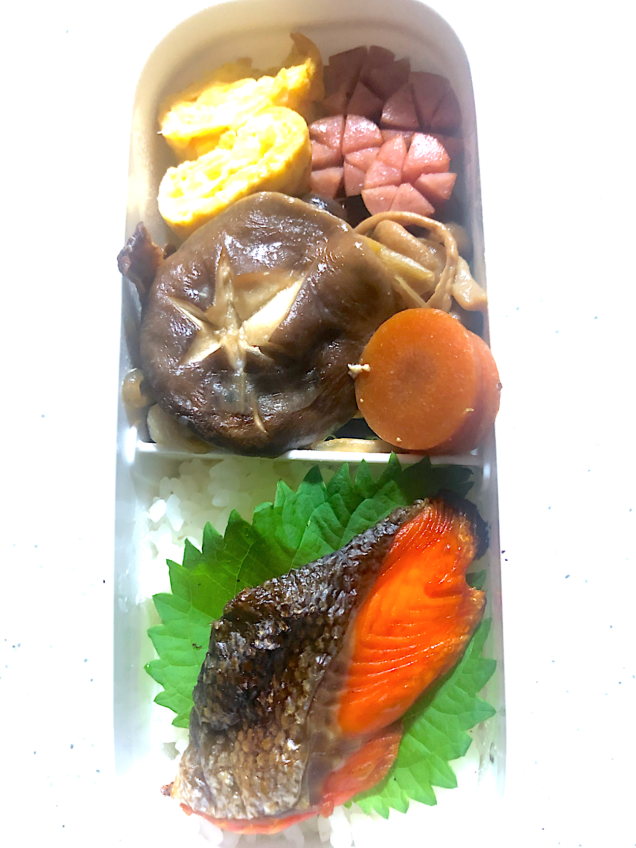 今日のお弁当🍱