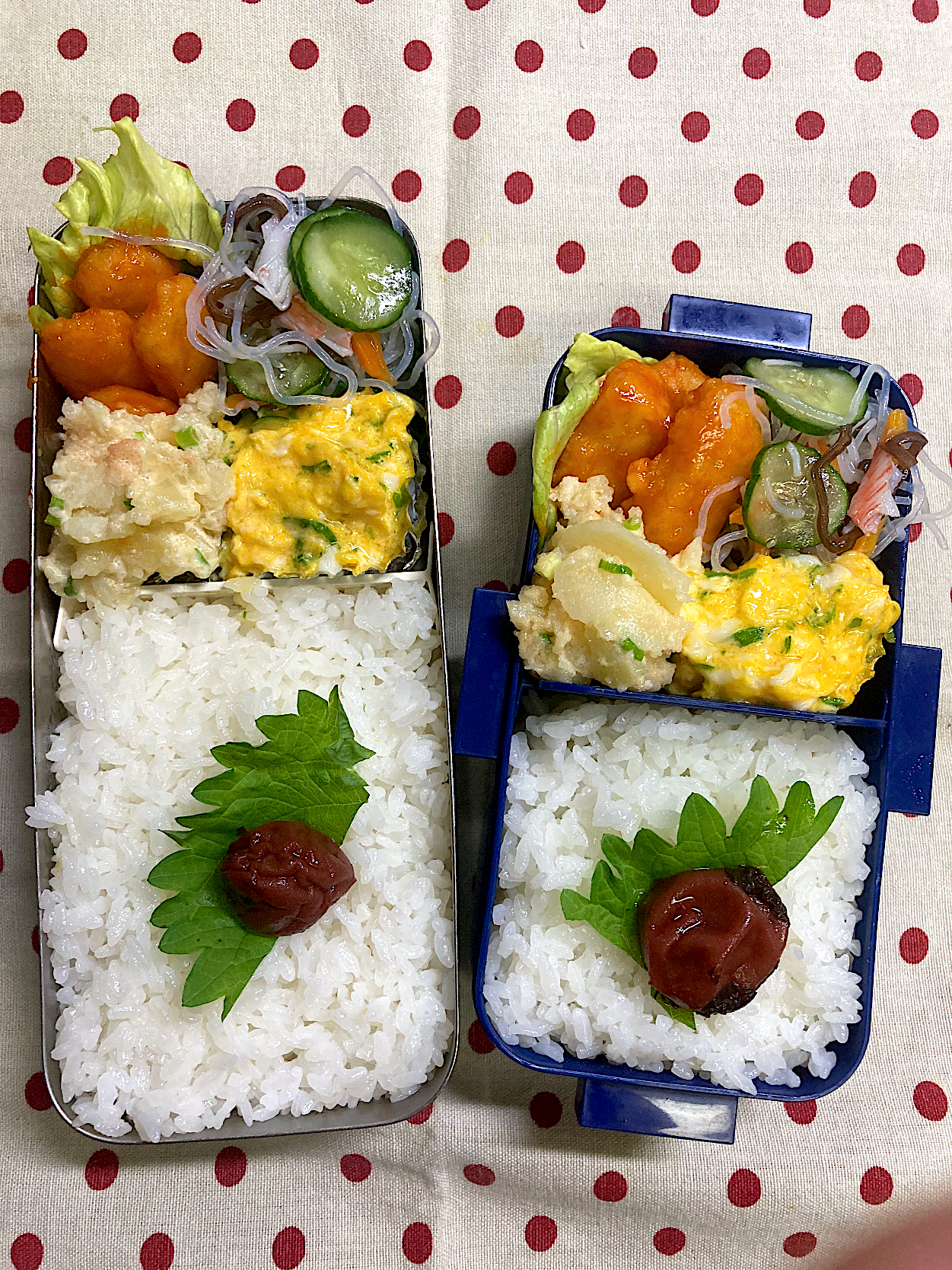 10月22日　久々大雨弁当🍱