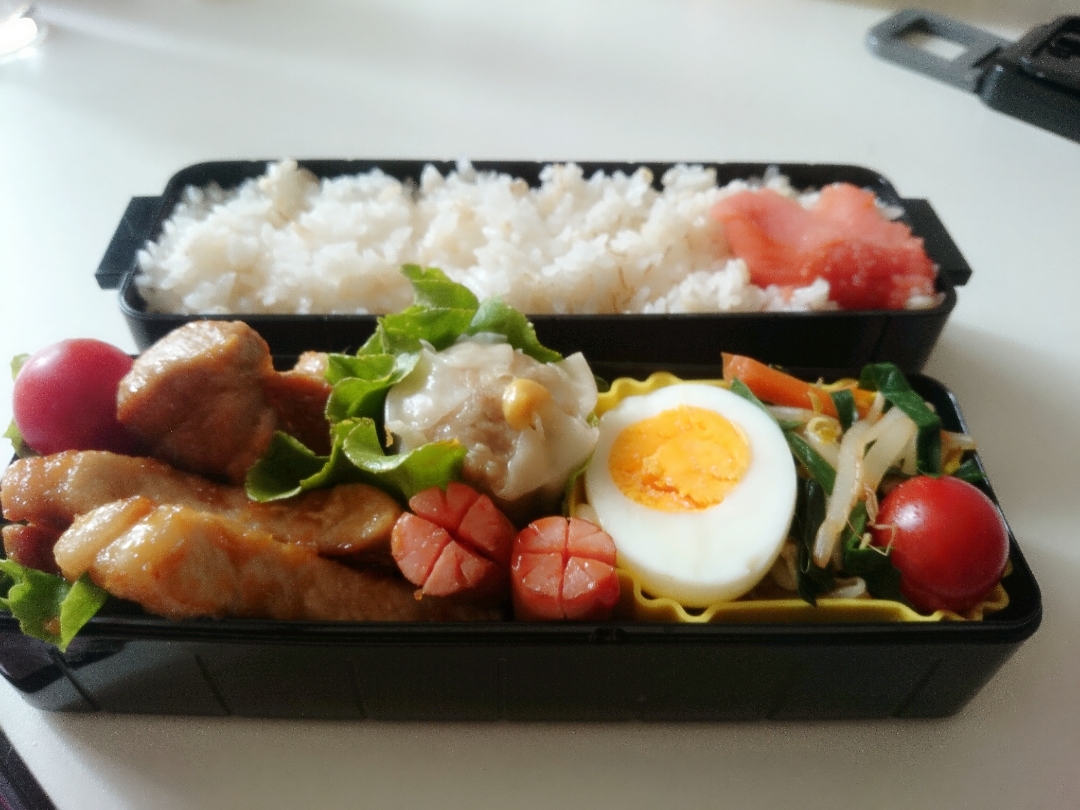 あるもの詰め込み弁当