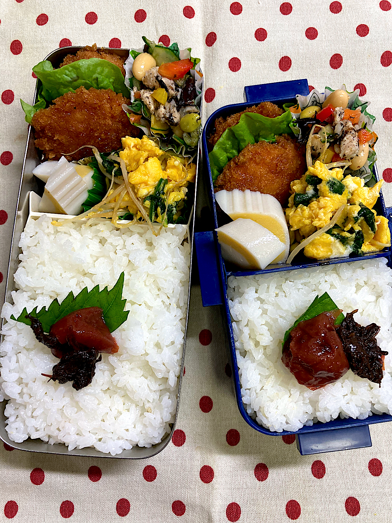 10月27日　久々弁当🍱