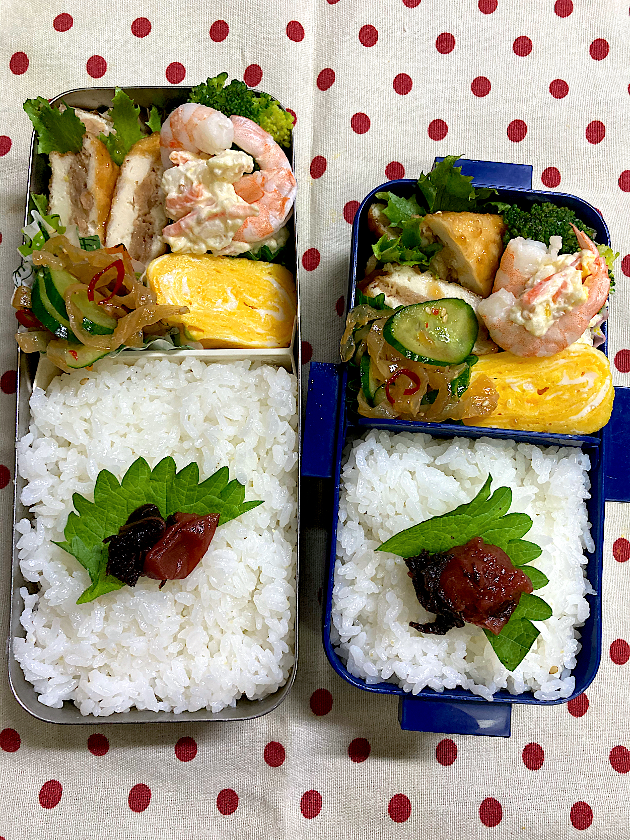 10月29日　今日も秋晴れ弁当🍱