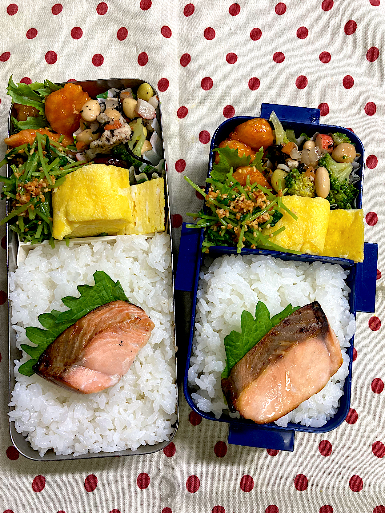 11月2日　月始まり週始まり弁当🍱