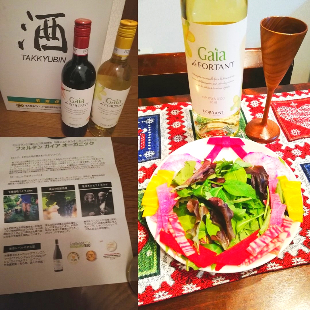 野菜料理に良く合うフォルタンガイアオーガニックワイン🍷