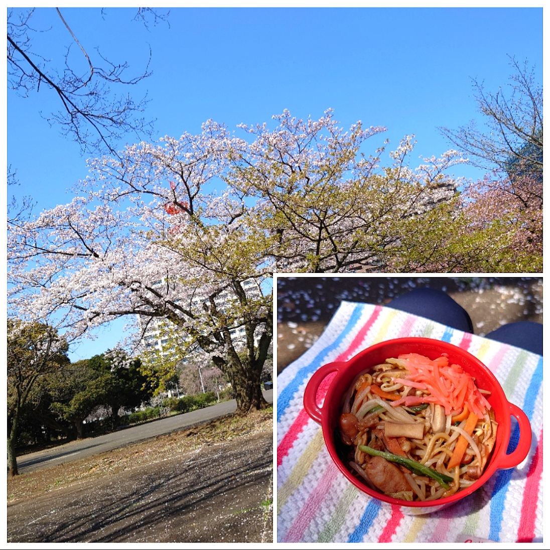 ★公園ランチ★
❇️焼きそば