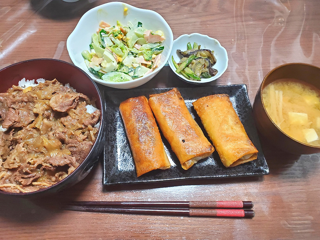 牛丼、春巻き、サラダ、アスパラと茄子の味噌炒め