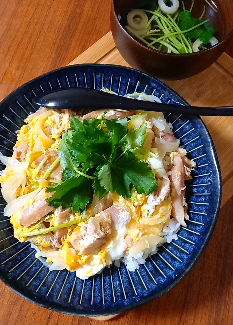 ﾛﾃｨｻﾘｰな親子丼