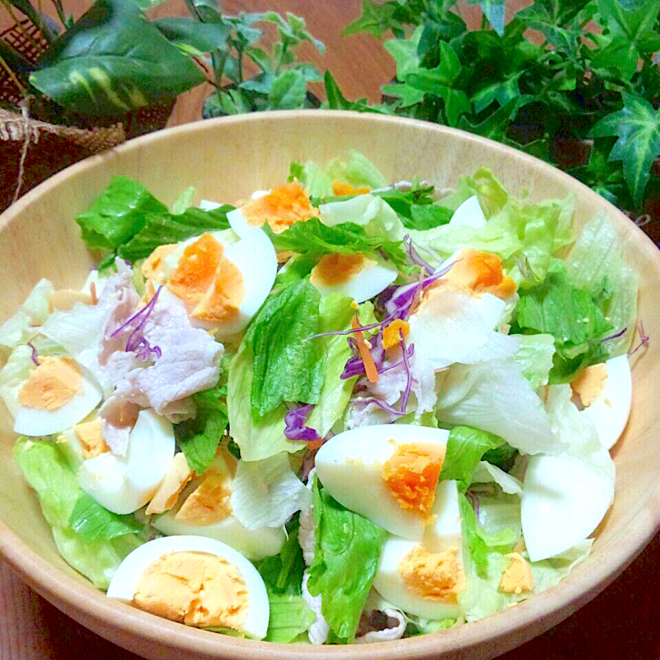 冷しゃぶサラダ🥗