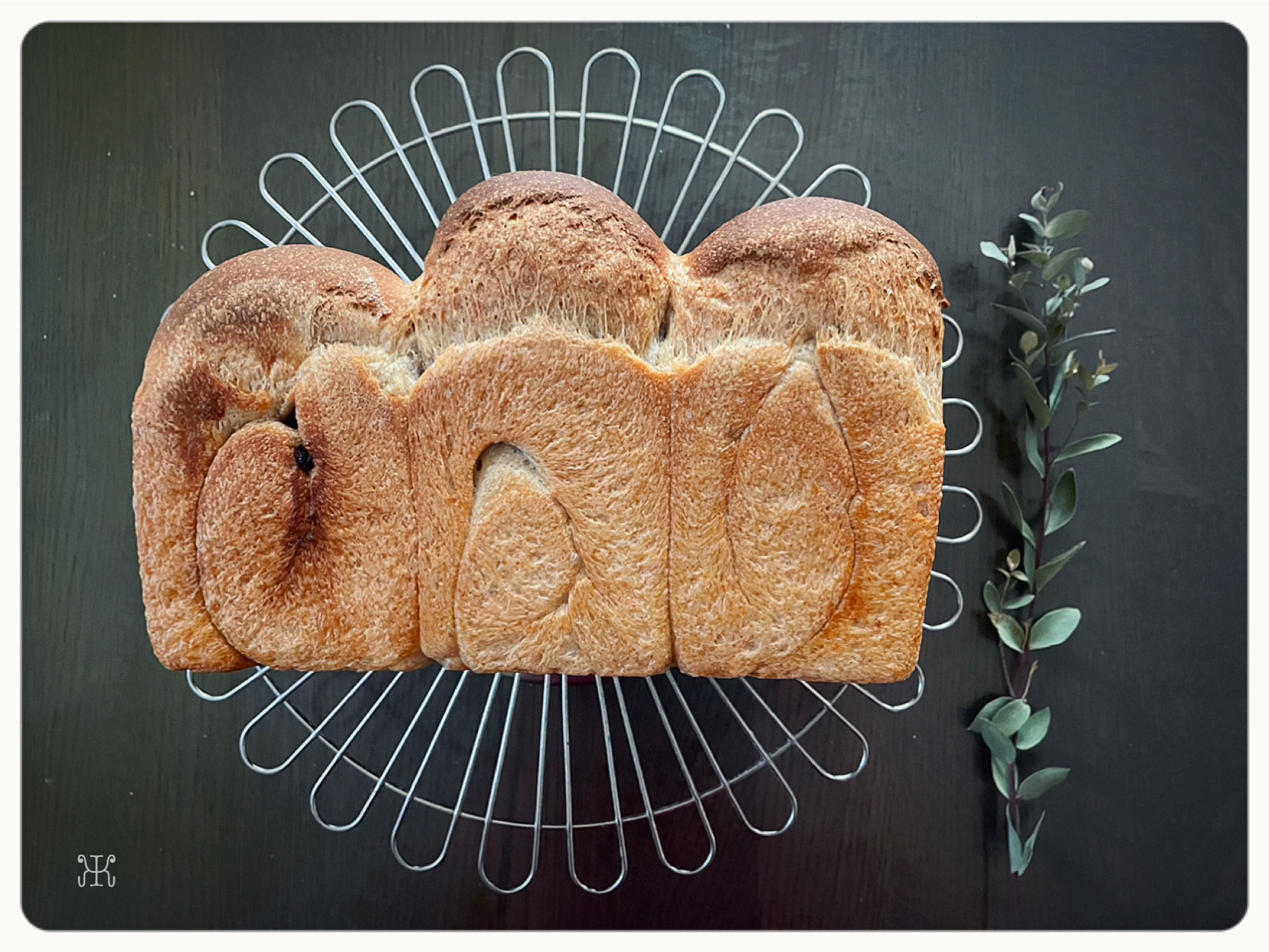 ホップ種 de 全粒粉山食🍞