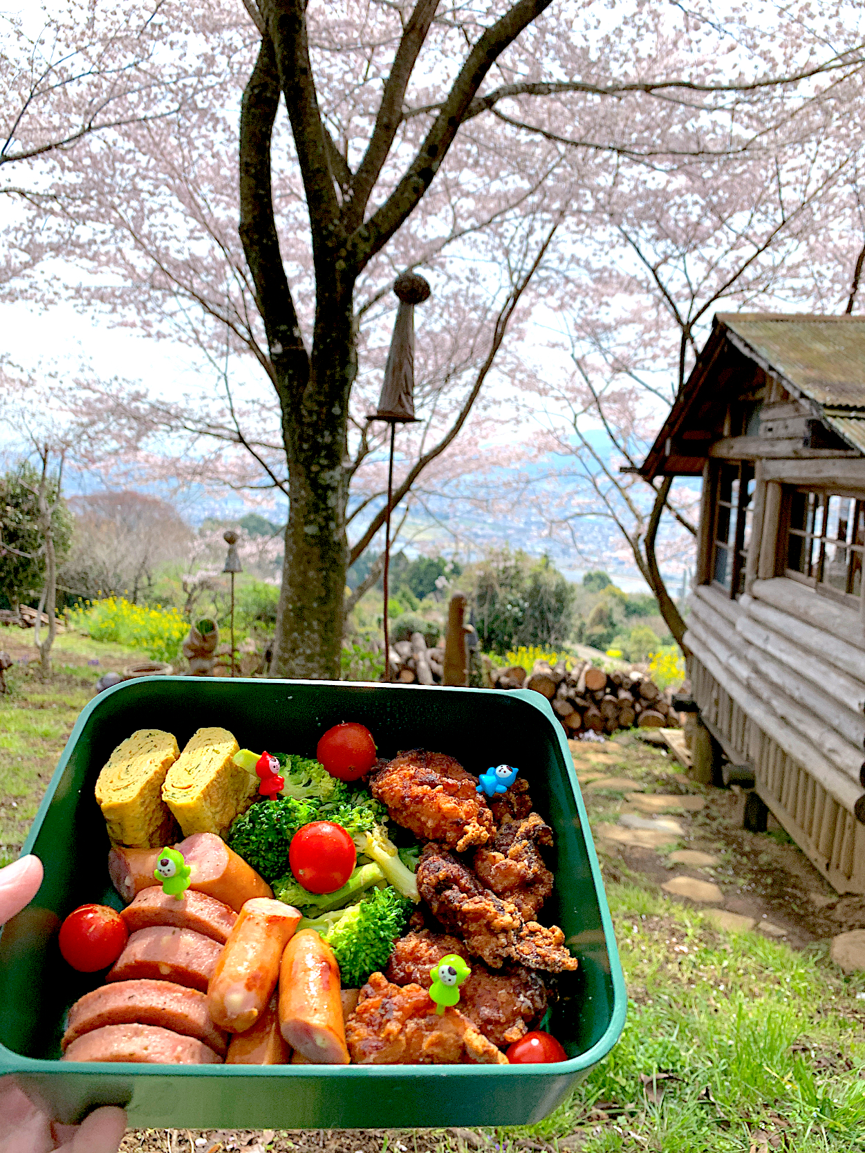 お花見弁当🌸肉多めw