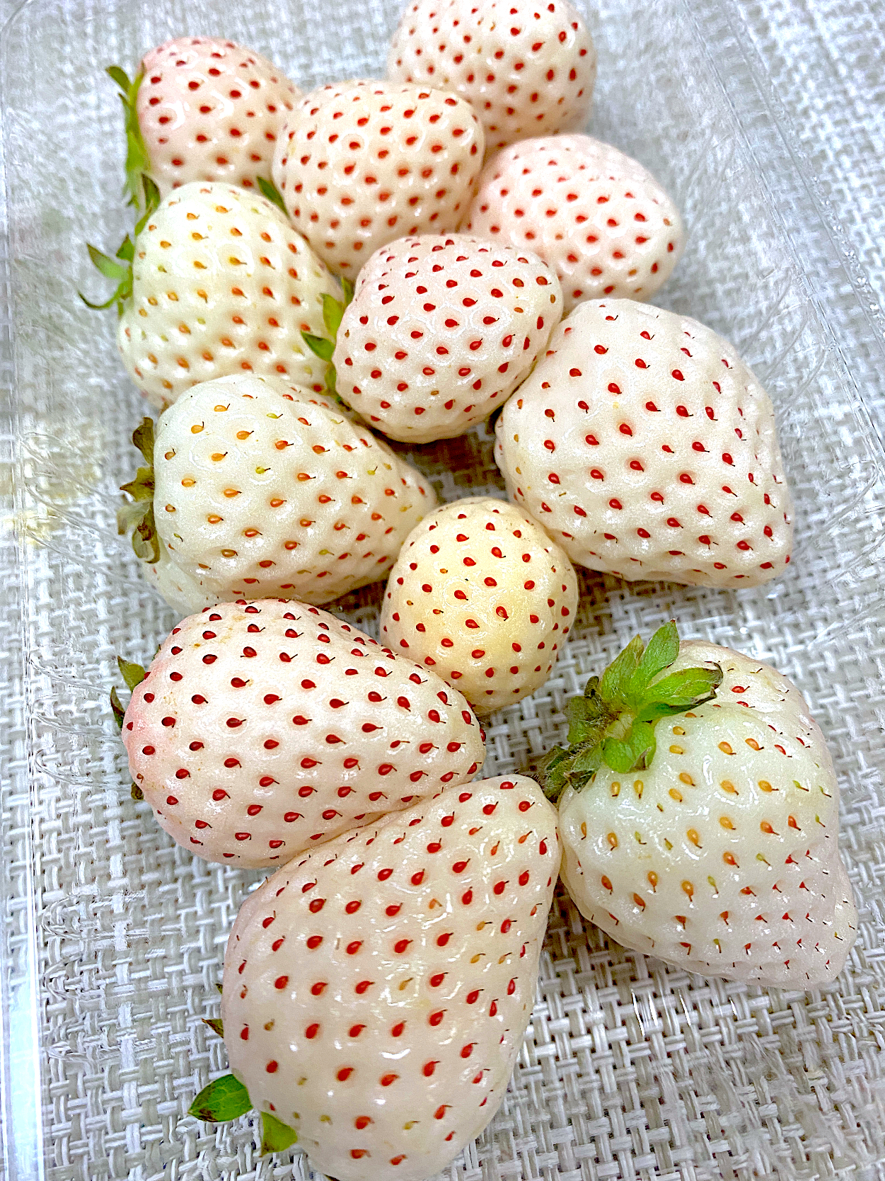 初めての白いイチゴ🍓