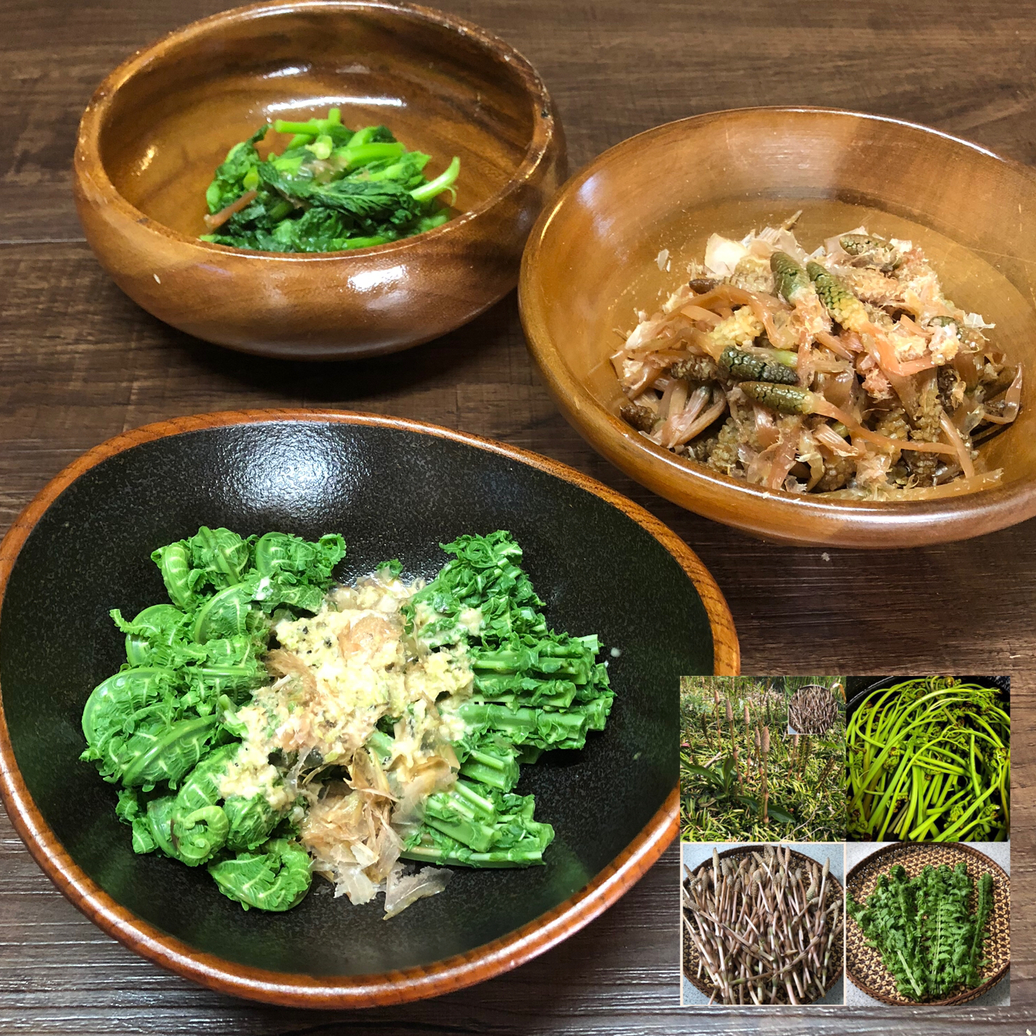 henryさんの料理 春爛漫🌸つくしのお浸し＊コゴミのお浸し🍃菜花🌿