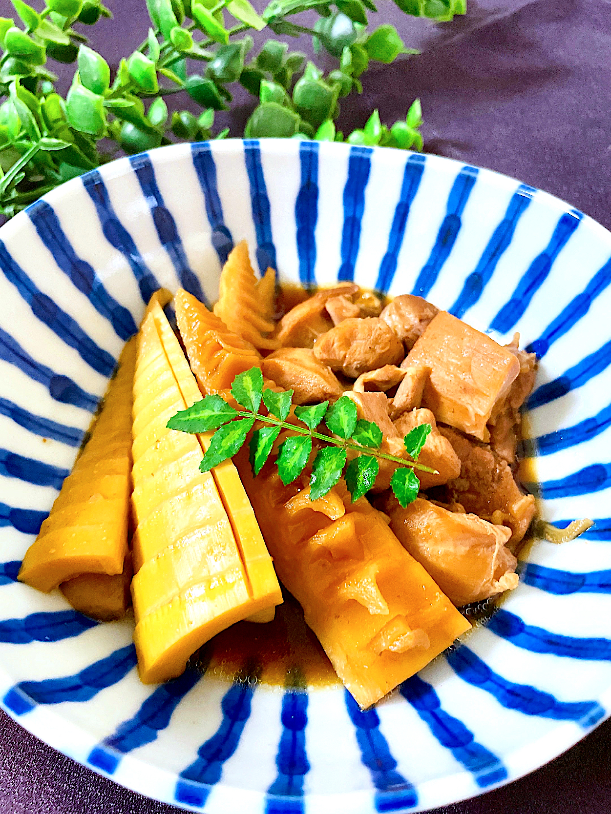 竹の子と鶏肉の煮物