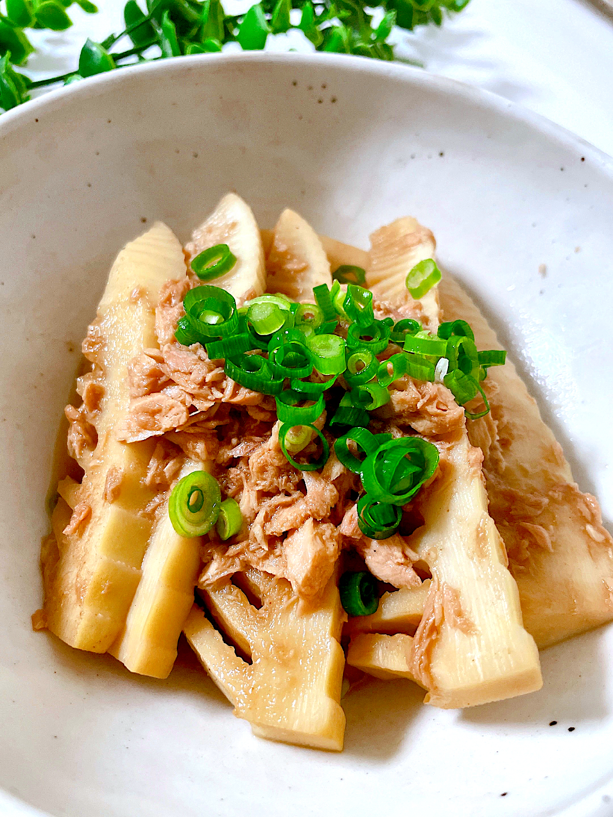 タケノコとツナの煮物