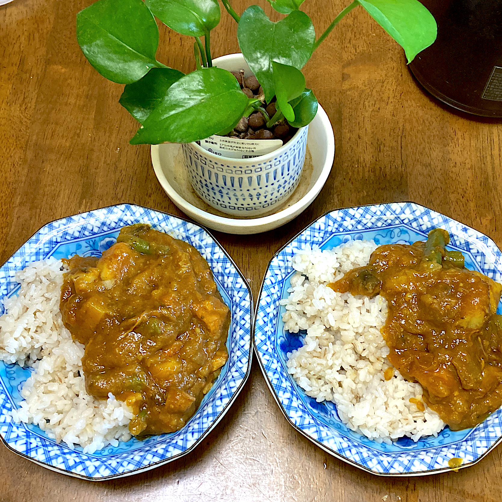 お昼ご飯