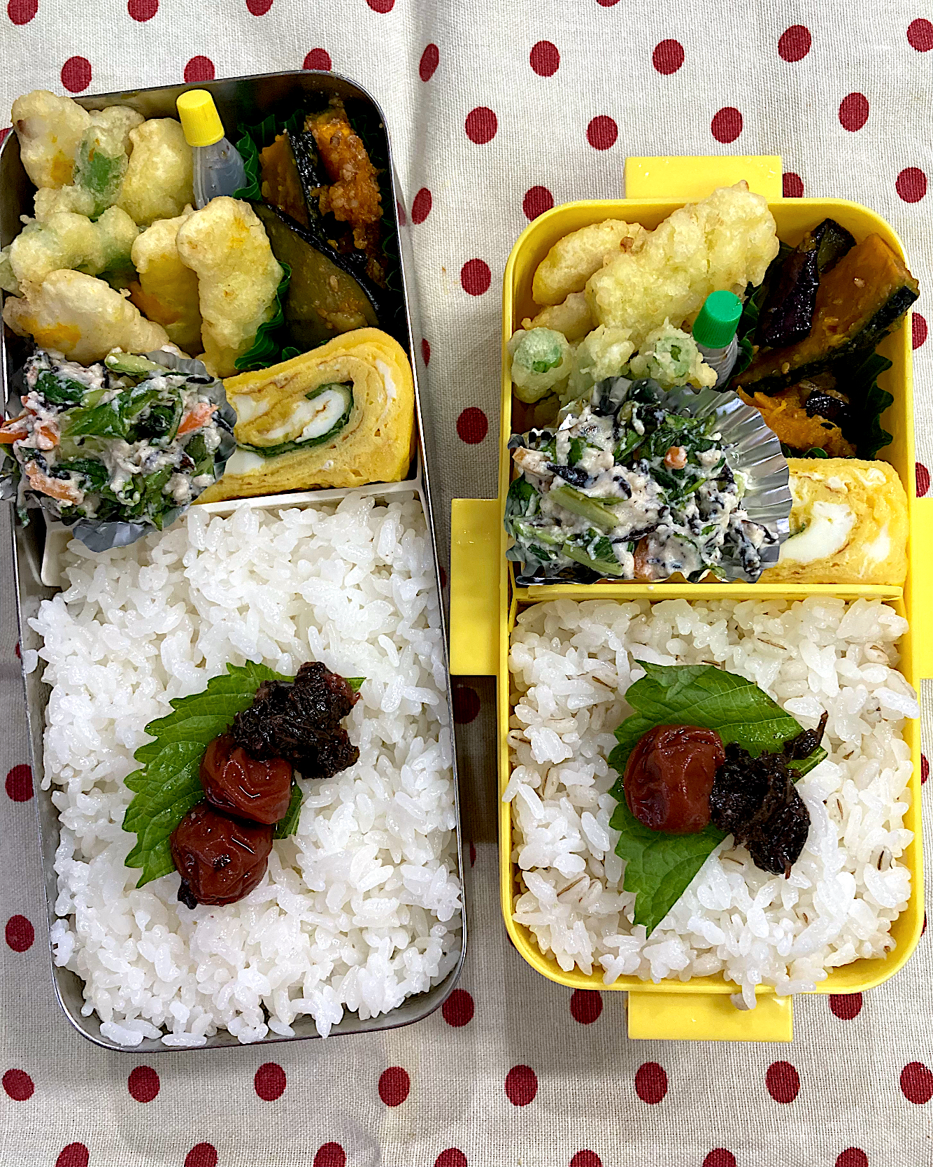 7月5日　雨台風接近 弁当🍱