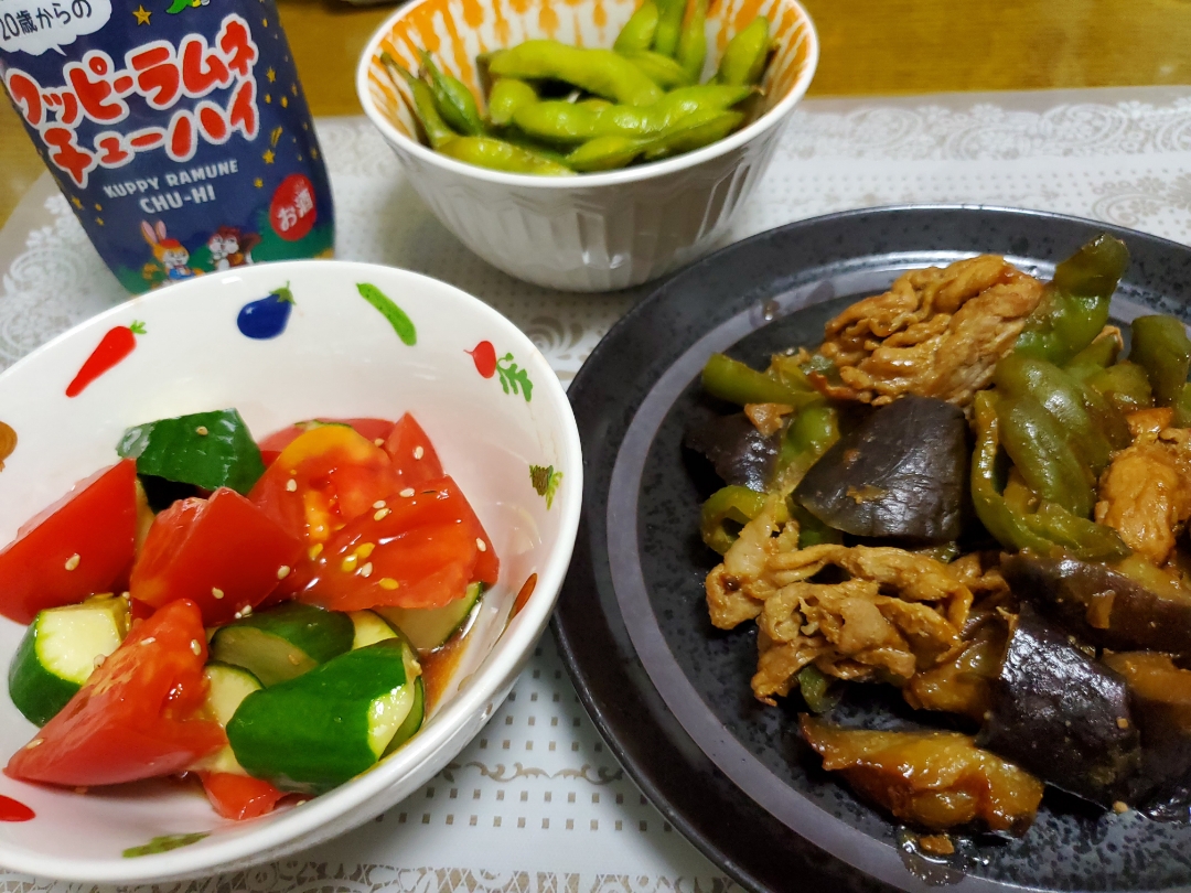 🐷🍆豚.茄子.ピーマンの味噌炒め

🍅トマトと胡瓜のさっぱり中華サラダ🥒