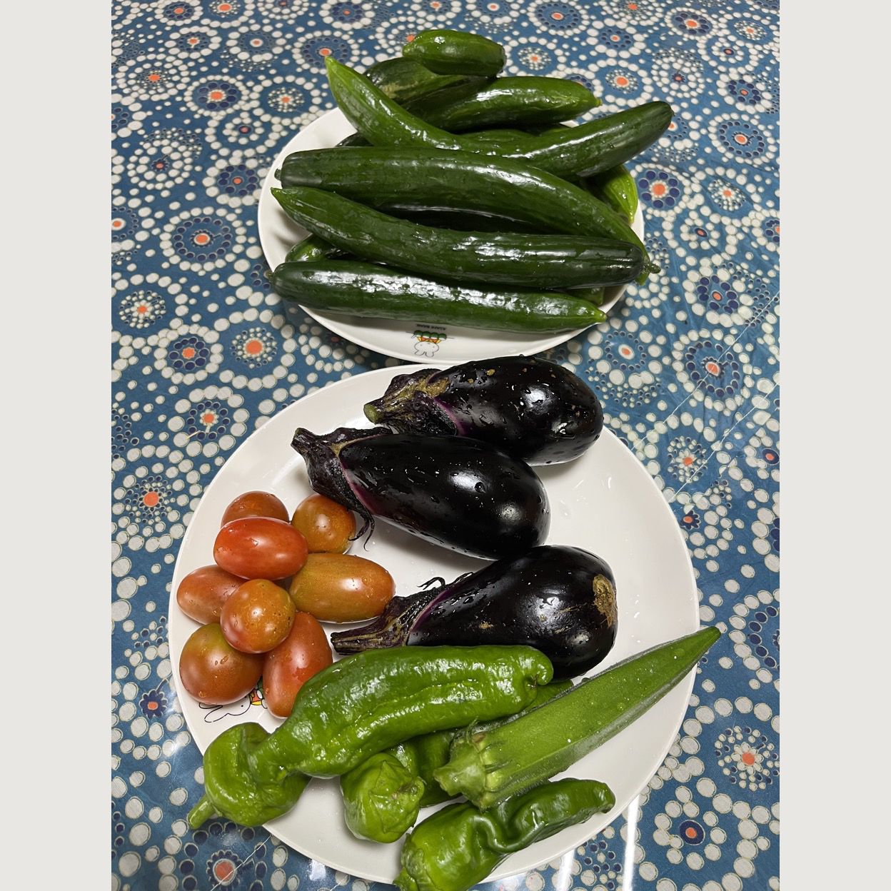 今日の収穫🥒🍅🍆