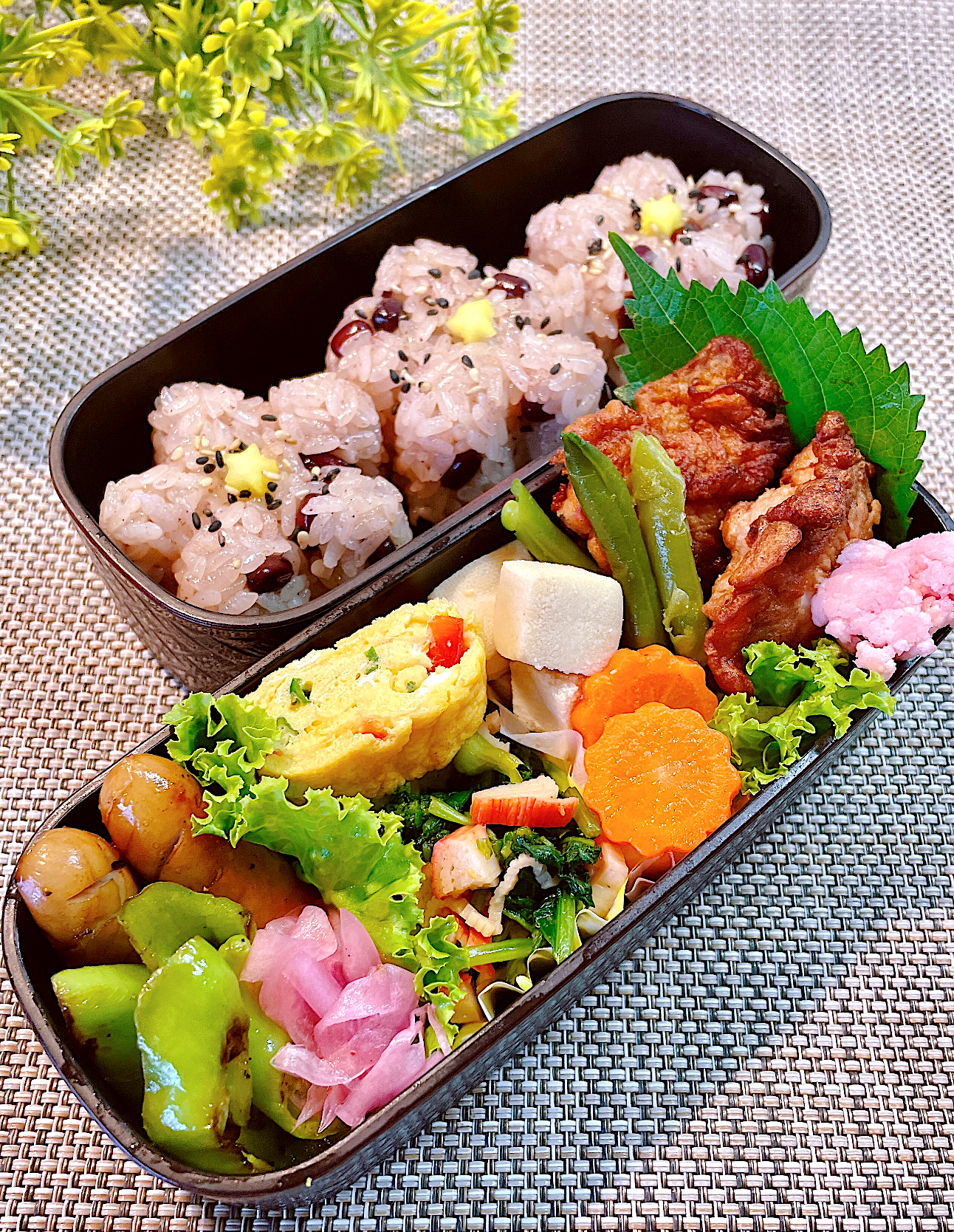 ✿水曜日《お赤飯弁当》