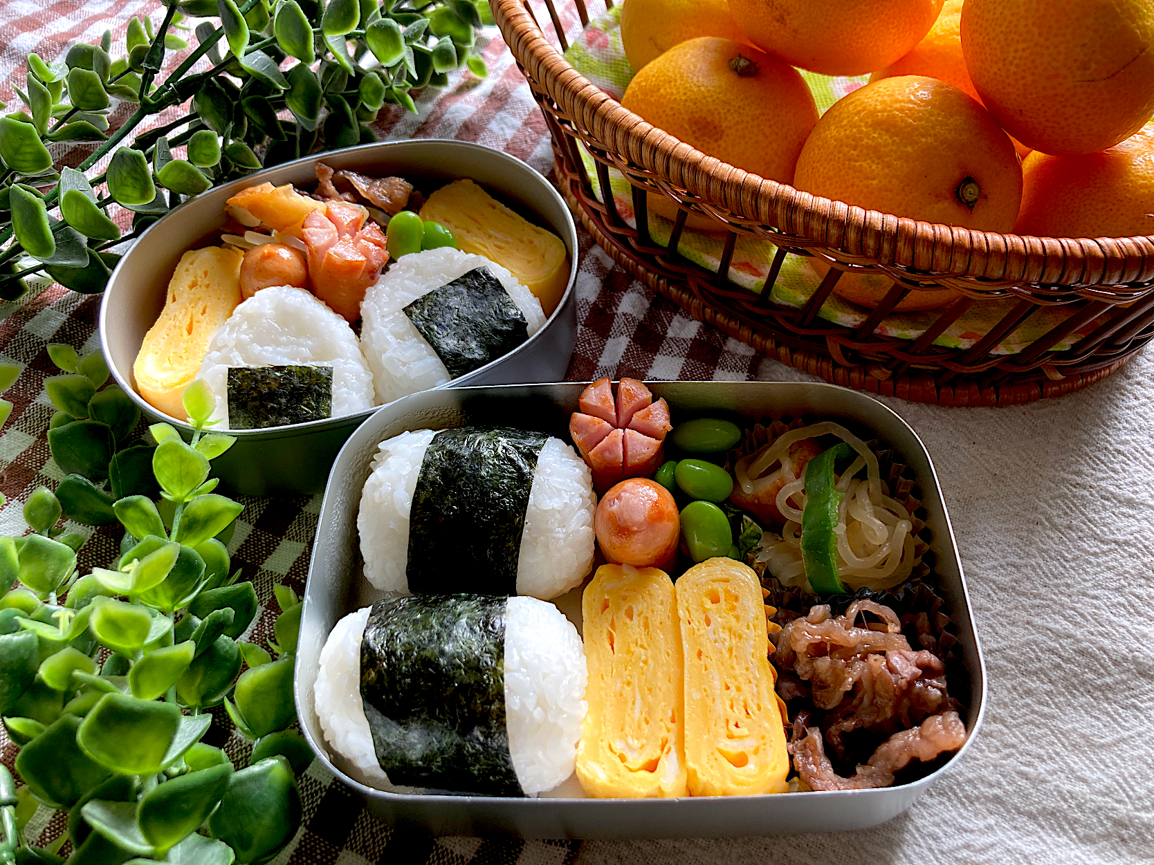 ＊ちびたんとべびたんの幼稚園お弁当＊