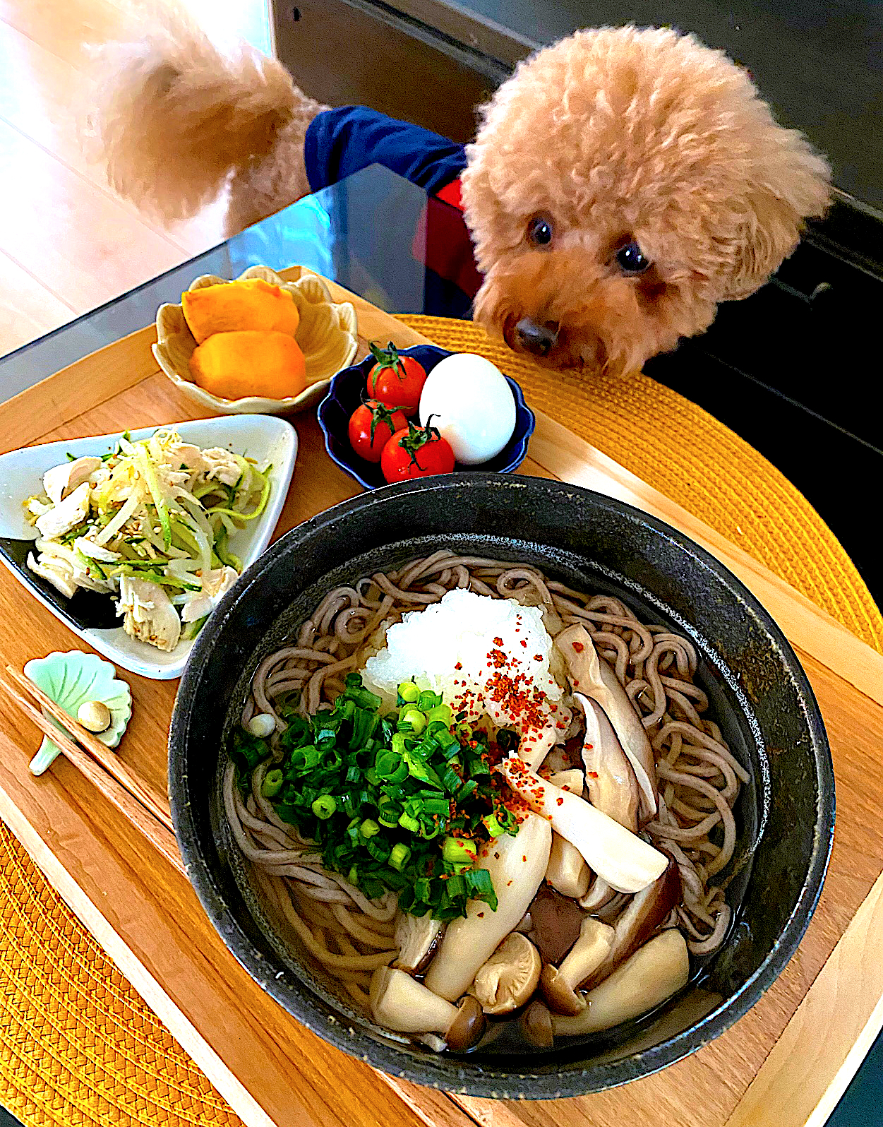 ゆかりさんの料理 薬味たっぷり冷やしおろし蕎麦