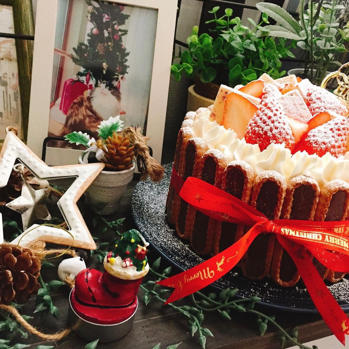 ナッペ苦手な私が作るクリスマスケーキ