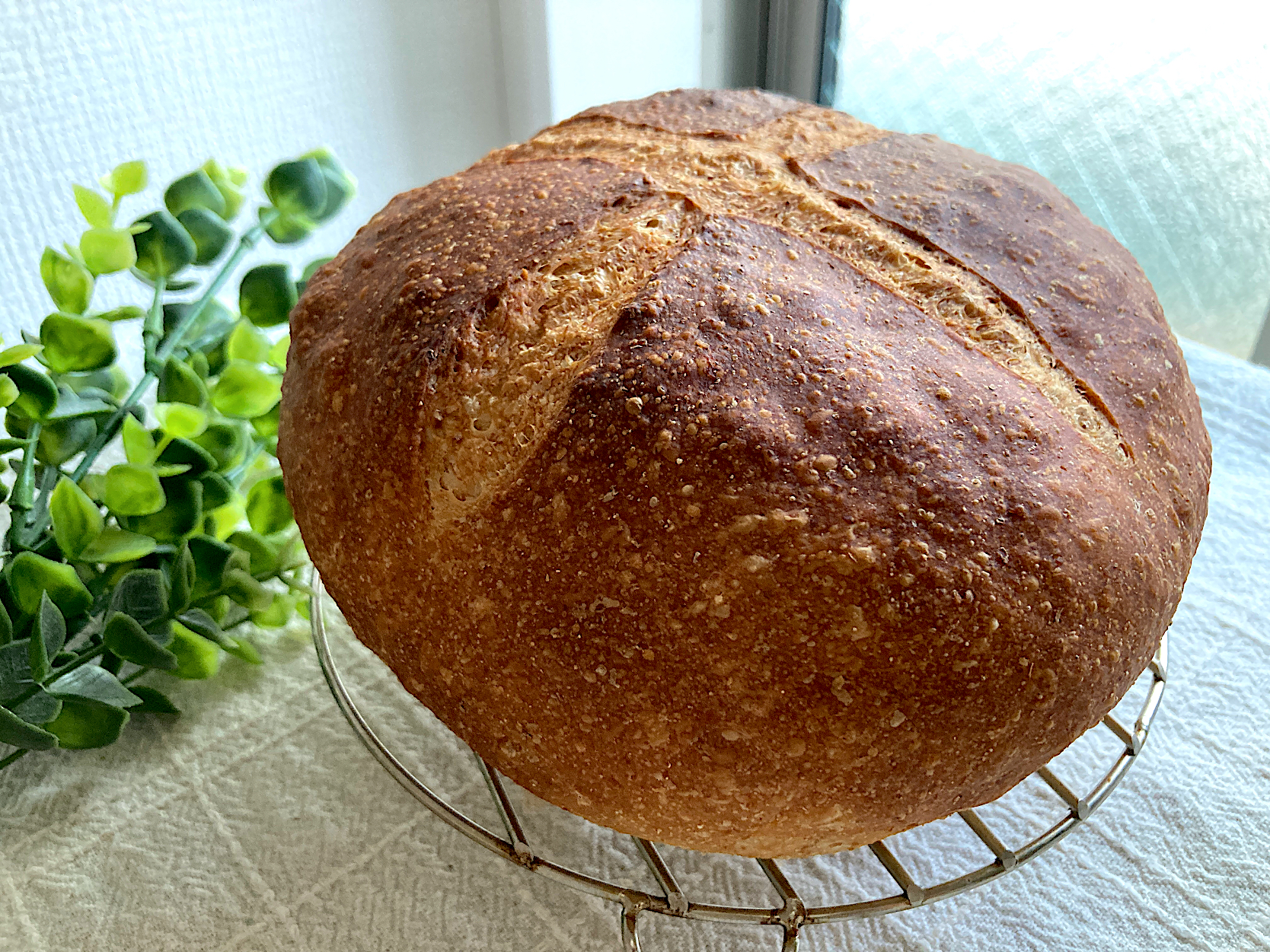 ＊ライ麦カンパーニュ🥖＊