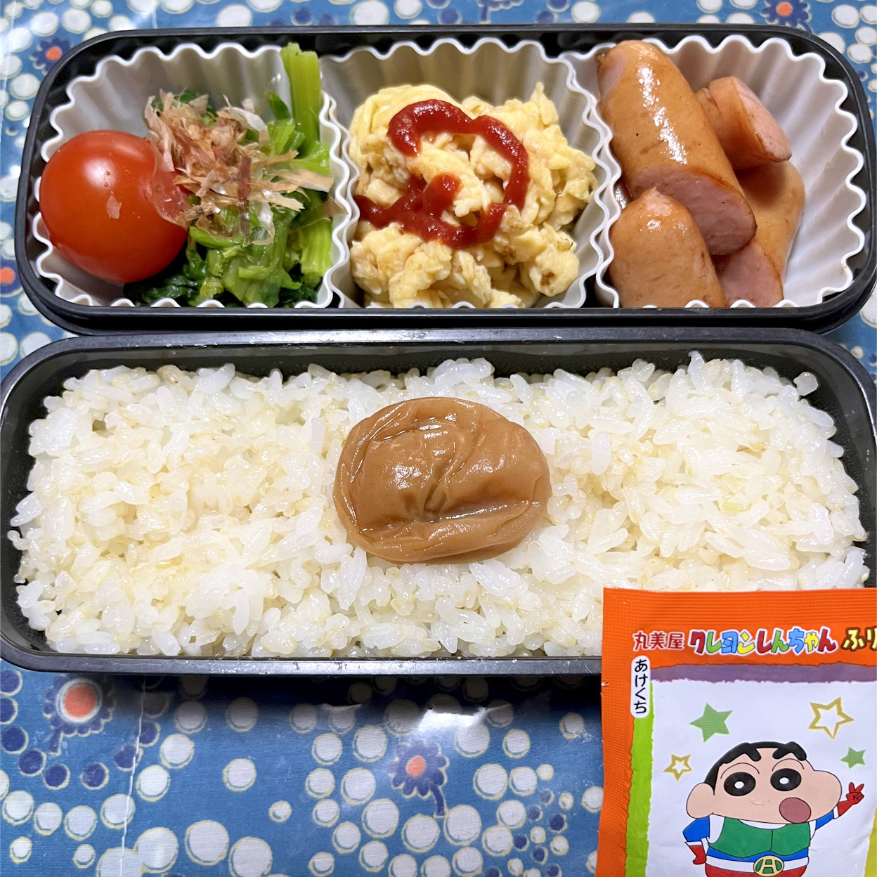 娘のお弁当3/13