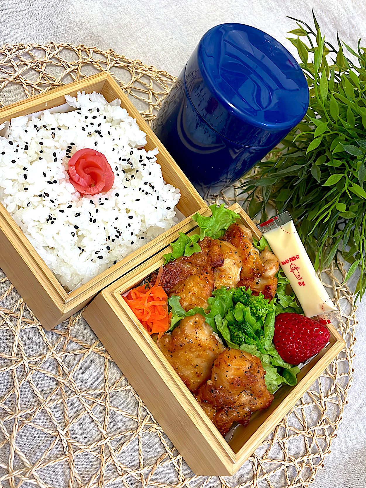 チキチキの素弁当🍱