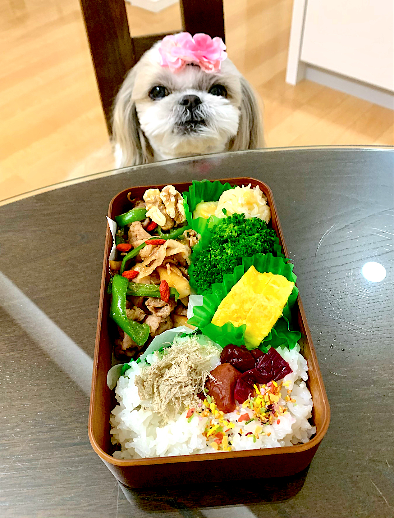 ４月４日 プクパパお弁当