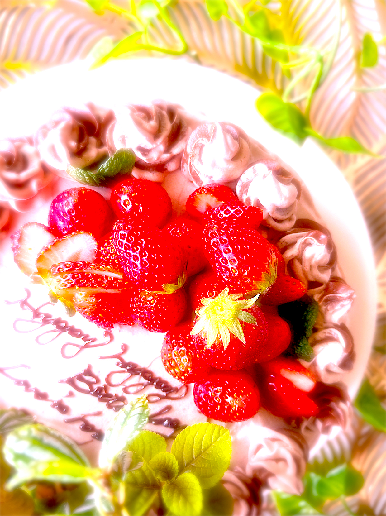 🍓Chocolate　cake🍓