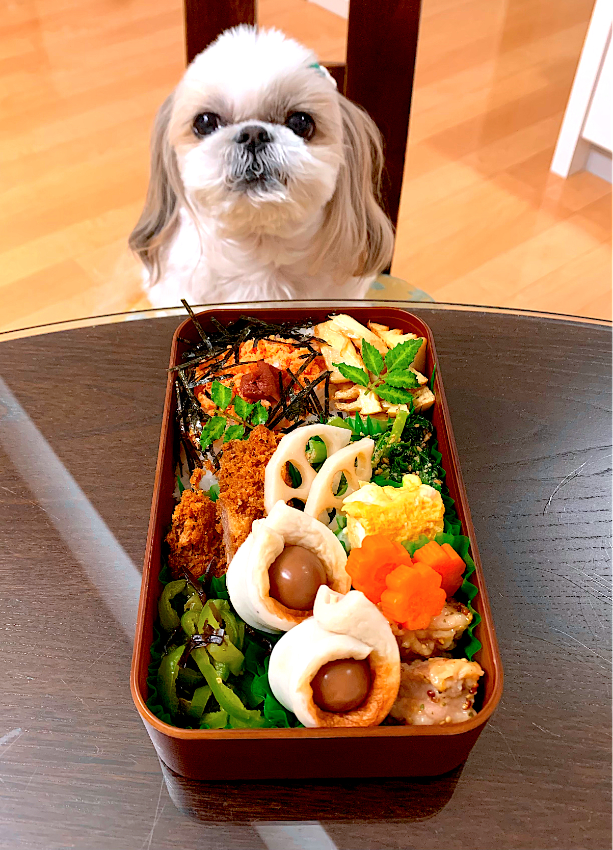 ４月６日　プクパパお弁当