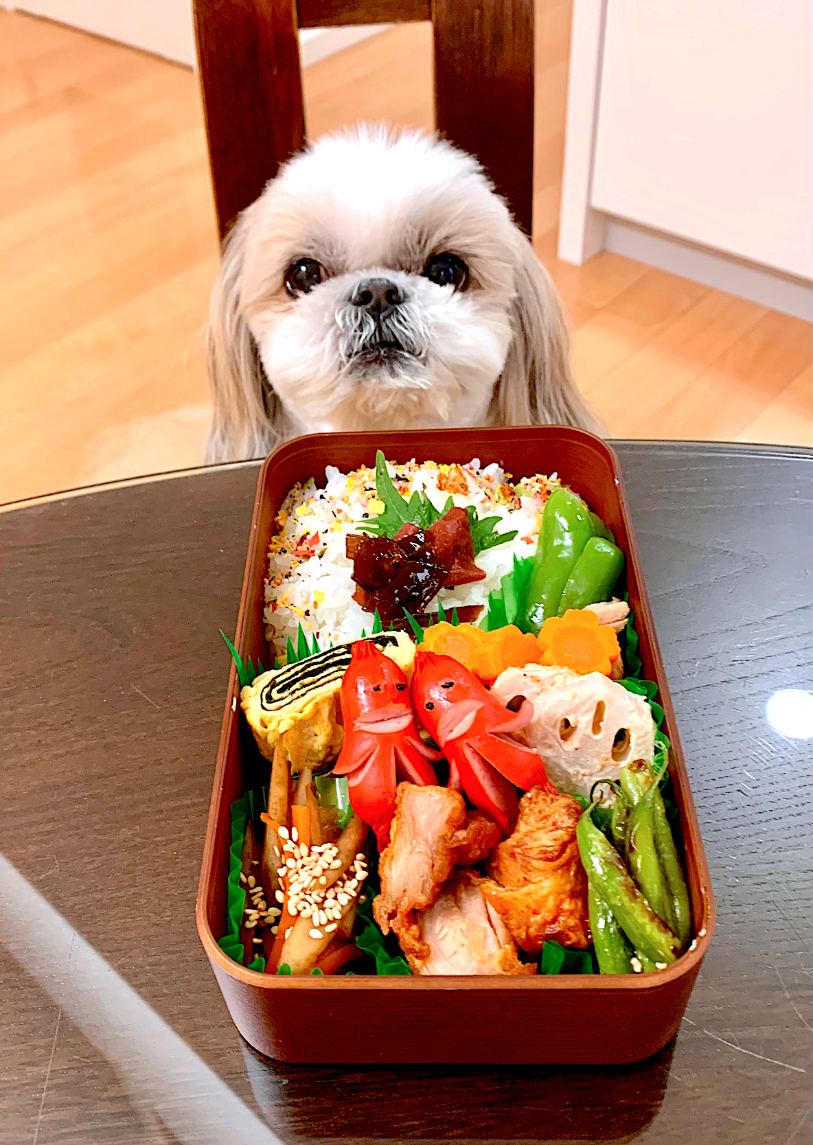 ４月13日　プクパパお弁当