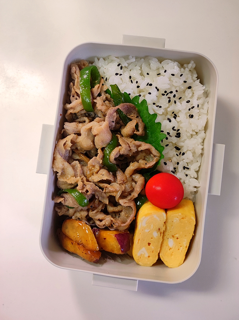 男子高生弁当